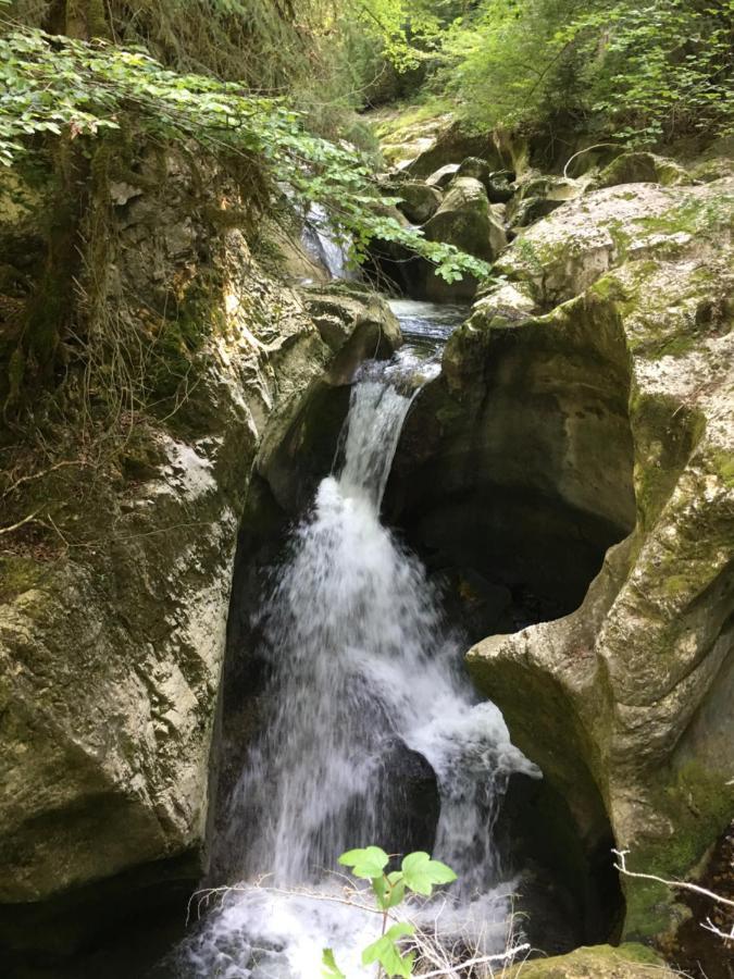La Motte-en-Beauges Chambres D'Hotes Des Bauges Route 26 57 المظهر الخارجي الصورة